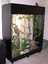 For sale (Cage only)Denver Co 250.00