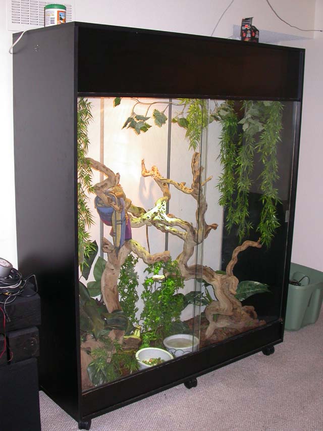 For sale (Cage only)Denver Co 250.00