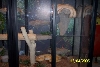 Climbing Retic