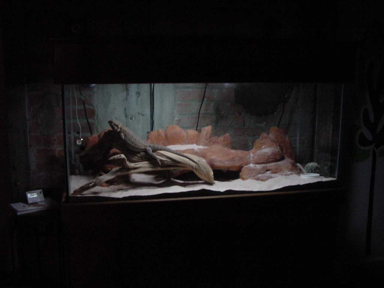 Elvis Enclosure 2