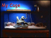 Cage