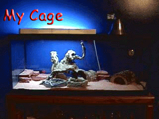 Cage