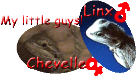 Linx and Chevelle