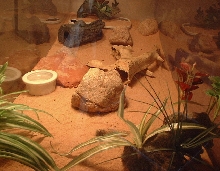 Side shot of tank
