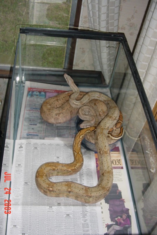 Pair Of Hogg Islands