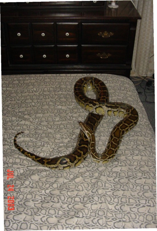 9 Foot Burm