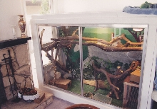 Reptile Furniture