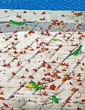 Hatchlings