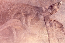 Breeding