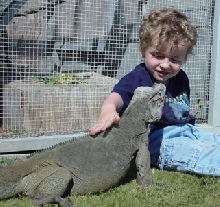 Lev meets Zachary
