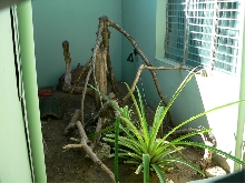 At the Zoo