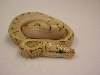 pastel spinner
