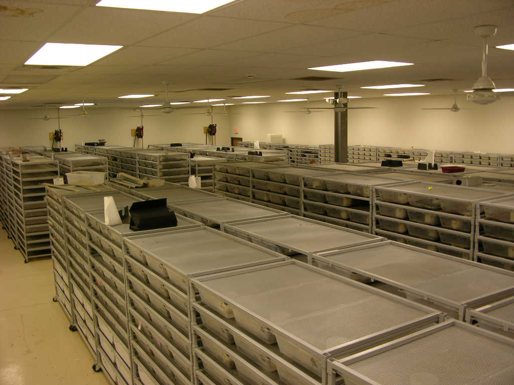 Top View of Python room #1