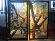40 gallon breeders