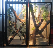Habitat