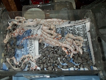 albhet litter