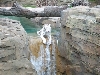 Zoo Tiger