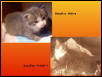 Babyboy - newborn and now