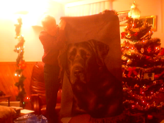 Boomer on a Blanket