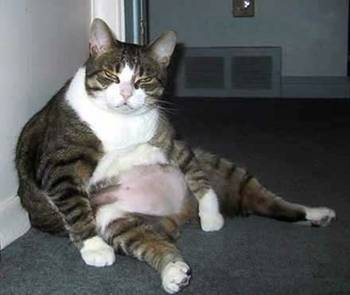 Eat Sensibly during the holidays!