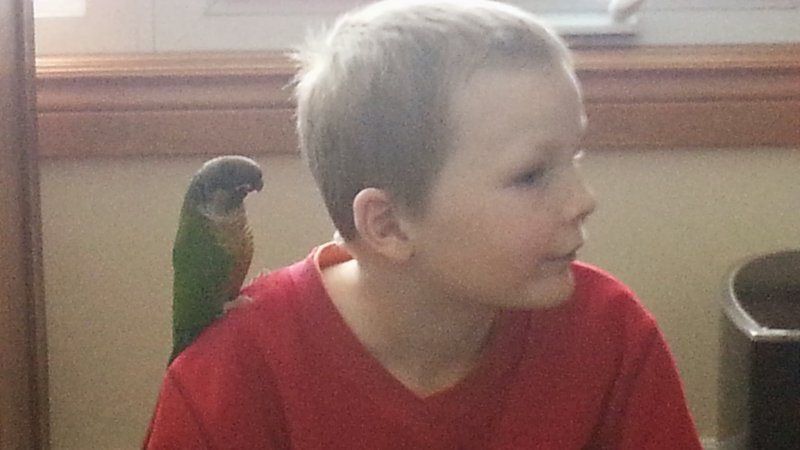 James with Bella