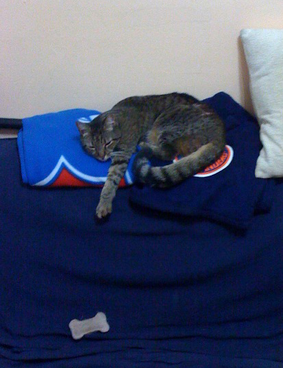 test