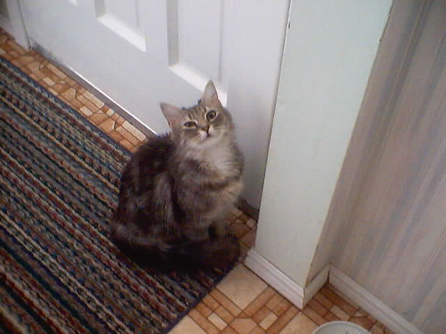 Nelly