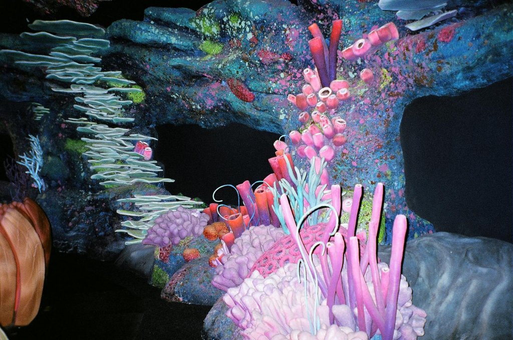 Nemo Exhibit