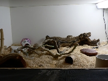 cage