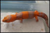 CALABASA