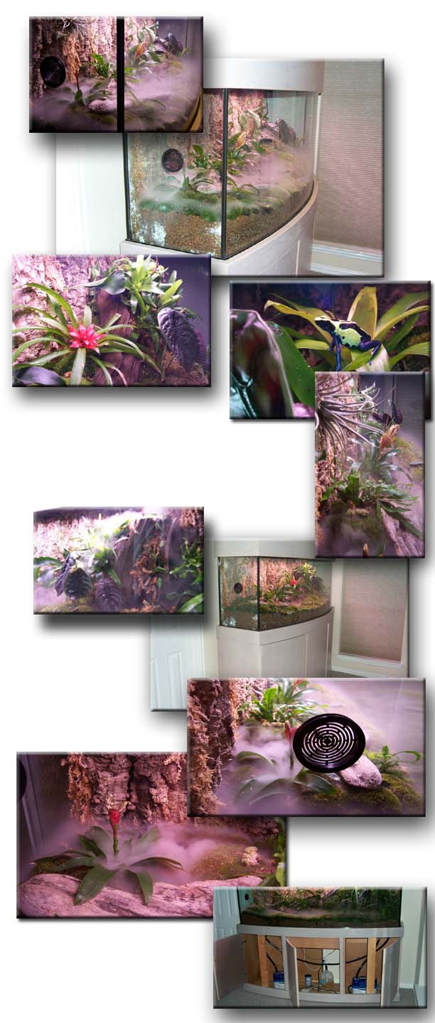 175 gallon Bow Front Vivarium