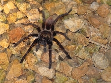 Who can indentify this one