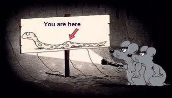 you are here