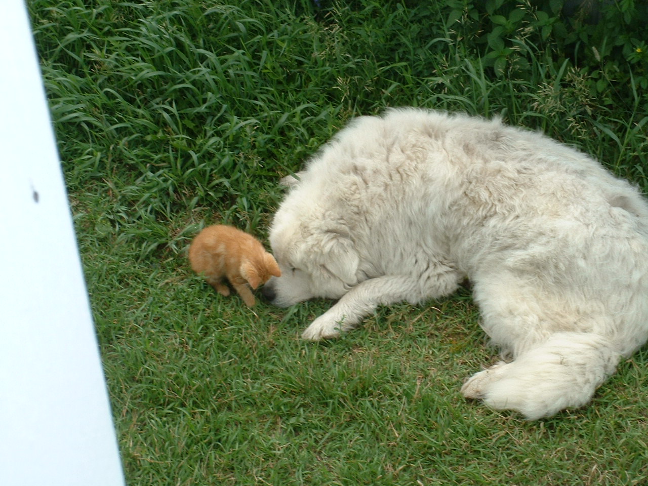 hey! no time for a snooze