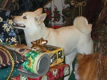 Pretty on Christmas Day