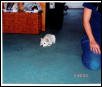 Penny Mouse