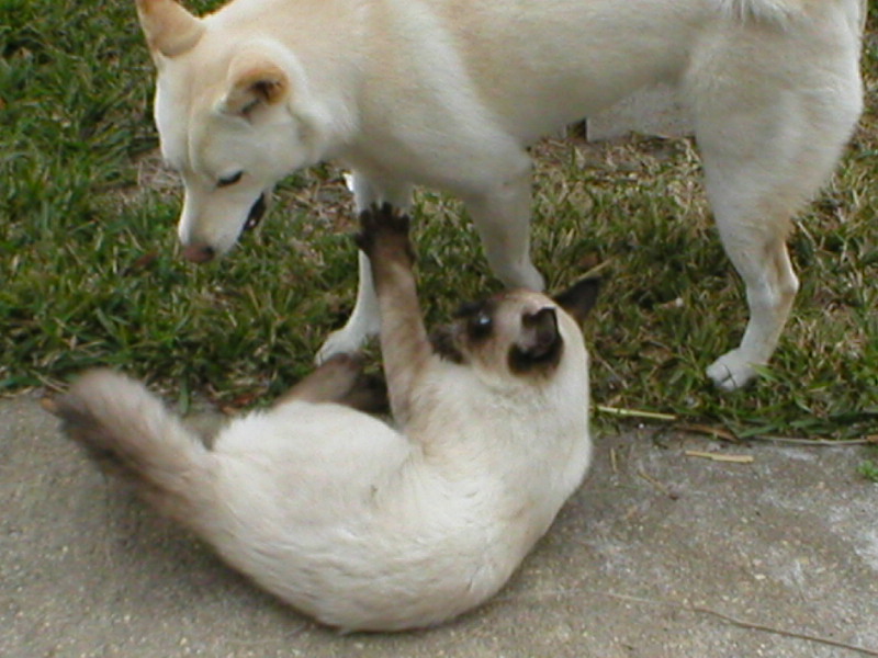 Playtime