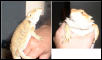 Cute picts