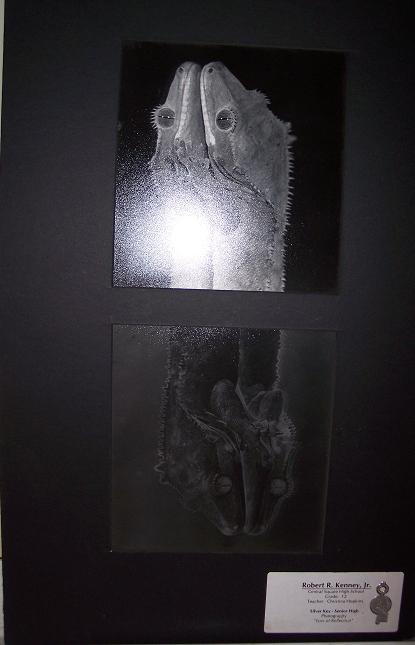 award pictures