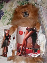 Caught red handed!!!