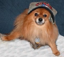 Don't mess with Tater!
