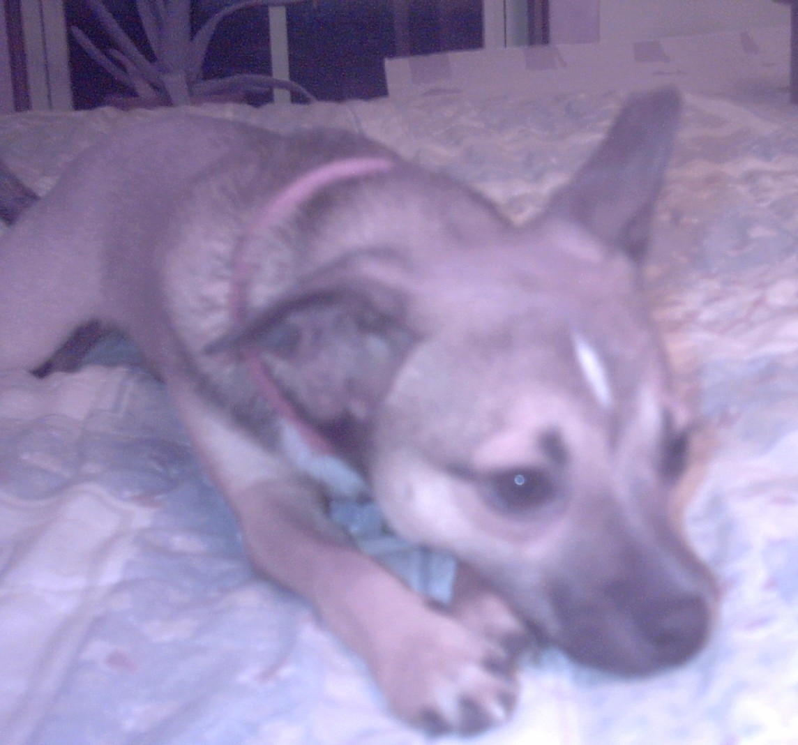Tired of posing for pictures