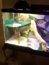Thors basking spot