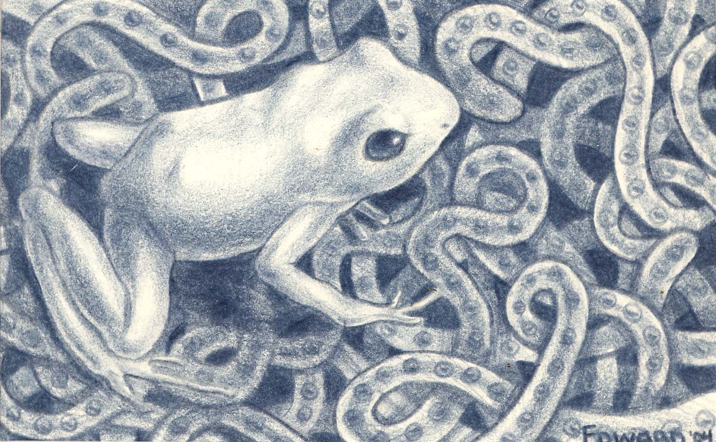 Frog 2