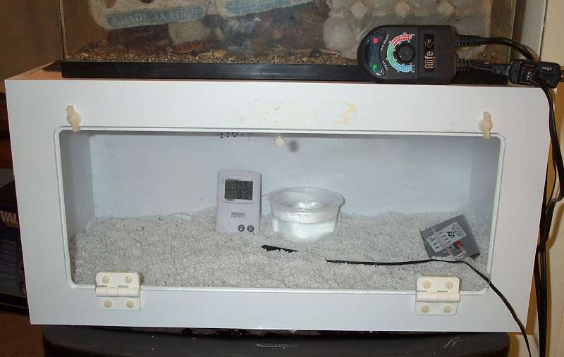 New Incubator