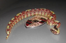 Rhino Viper posing on the Porsche hood