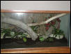 right side