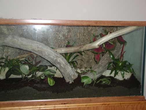 right side
