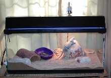 Matilda's enclosure