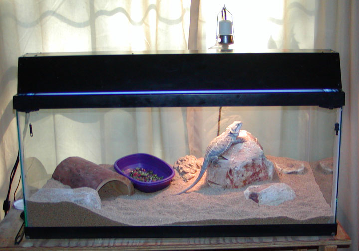Matilda's enclosure